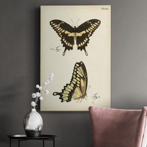 Butterfly Profile I - Canvas Art Print