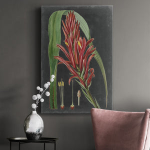 Dramatic Tropicals II Premium Gallery Wrapped Canvas - Ready to Hang