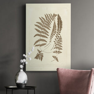 Sepia Ferns II Premium Gallery Wrapped Canvas - Ready to Hang