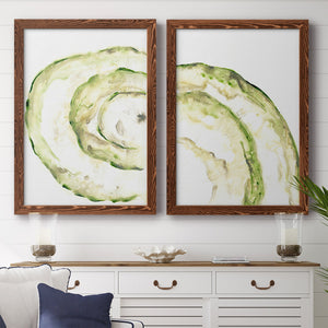 Lichen Halo V - Barnwood Framed Canvas Set