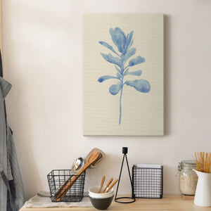 Verditer Fig IV - Canvas Art Print