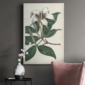 Ivory Garden I Premium Gallery Wrapped Canvas - Ready to Hang