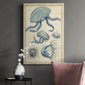 Lamarck Medusa II - Canvas Art Print