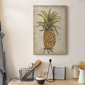 Pineapple Study II Premium Gallery Wrapped Canvas - Ready to Hang