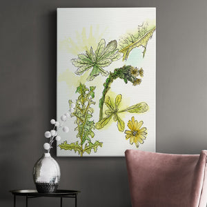 Floral Field Notes V Premium Gallery Wrapped Canvas - Ready to Hang