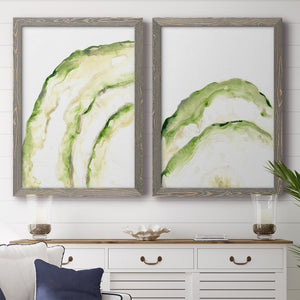 Lichen Halo I - Barnwood Framed Canvas Set