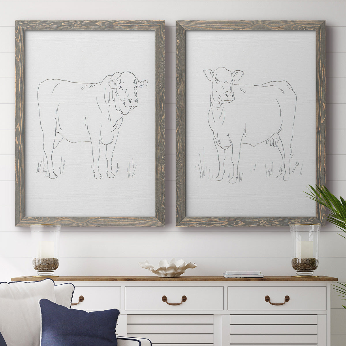 Limousin Cattle I - Barnwood Framed Canvas Set
