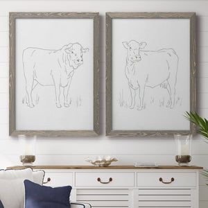 Limousin Cattle I - Barnwood Framed Canvas Set