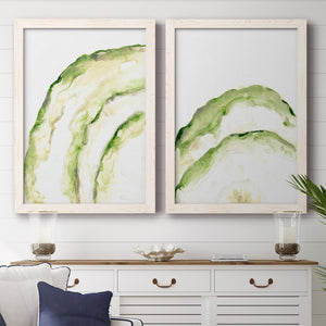 Lichen Halo I - Barnwood Framed Canvas Set