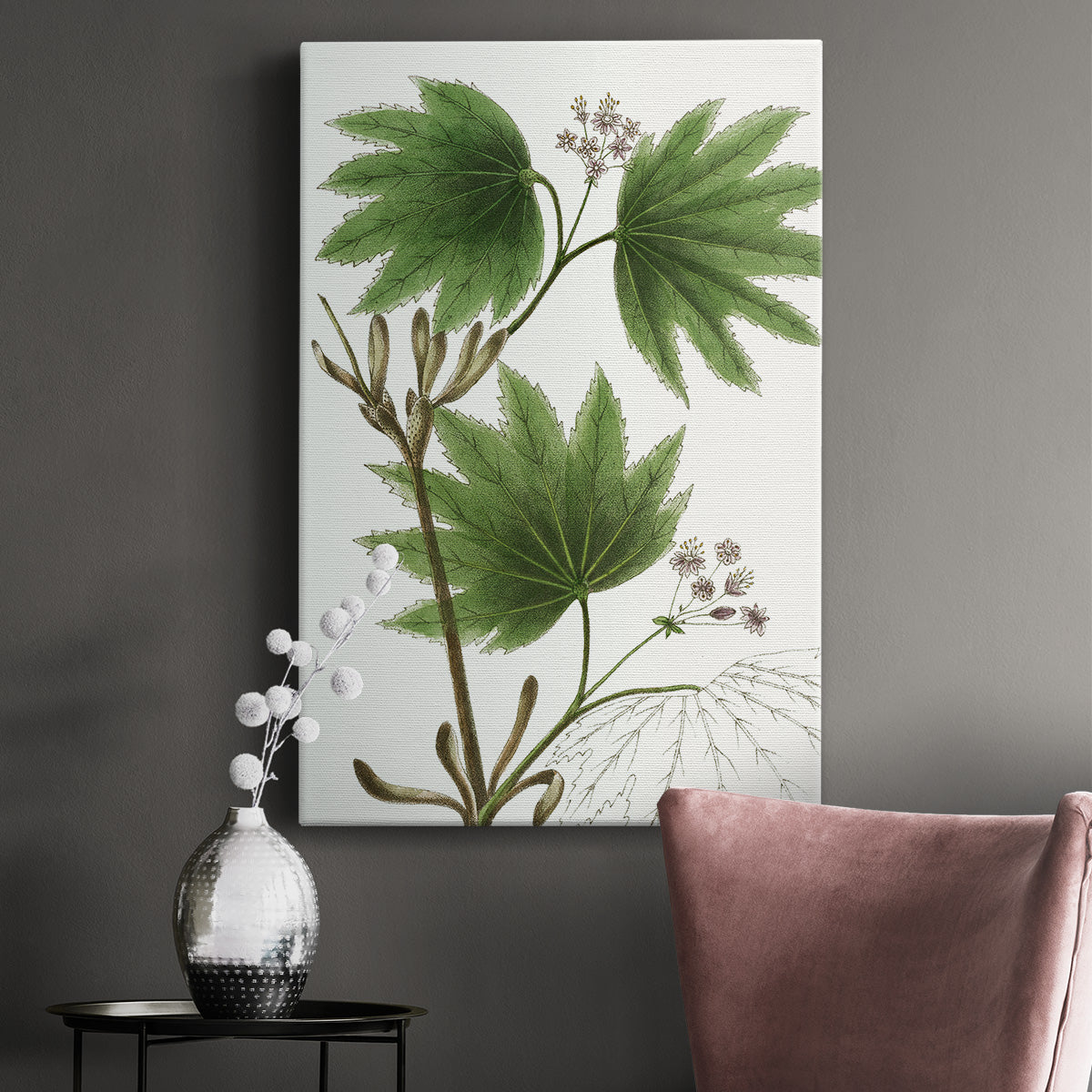 Broad Leafed Maple Premium Gallery Wrapped Canvas - Ready to Hang