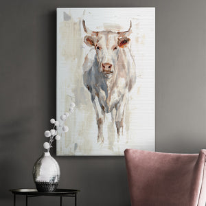 Sunlit Cows II - Canvas Art Print