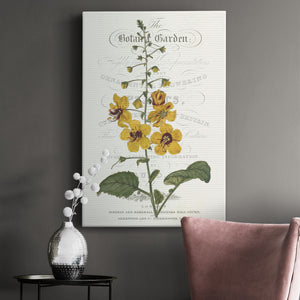 Flower Garden Varietals V Premium Gallery Wrapped Canvas - Ready to Hang