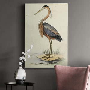 Antique Heron II Premium Gallery Wrapped Canvas - Ready to Hang