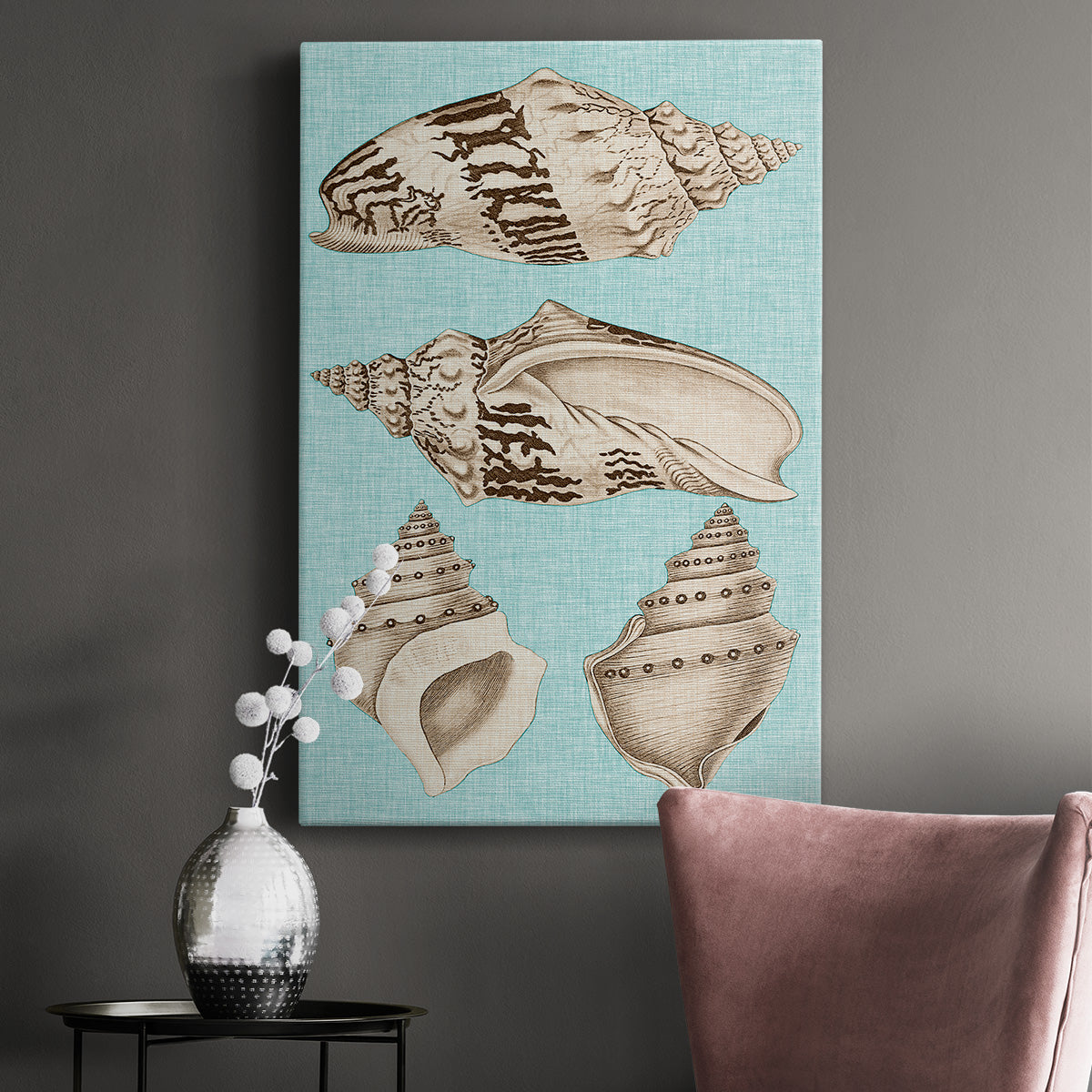 Sepia & Aqua Shells IV Premium Gallery Wrapped Canvas - Ready to Hang