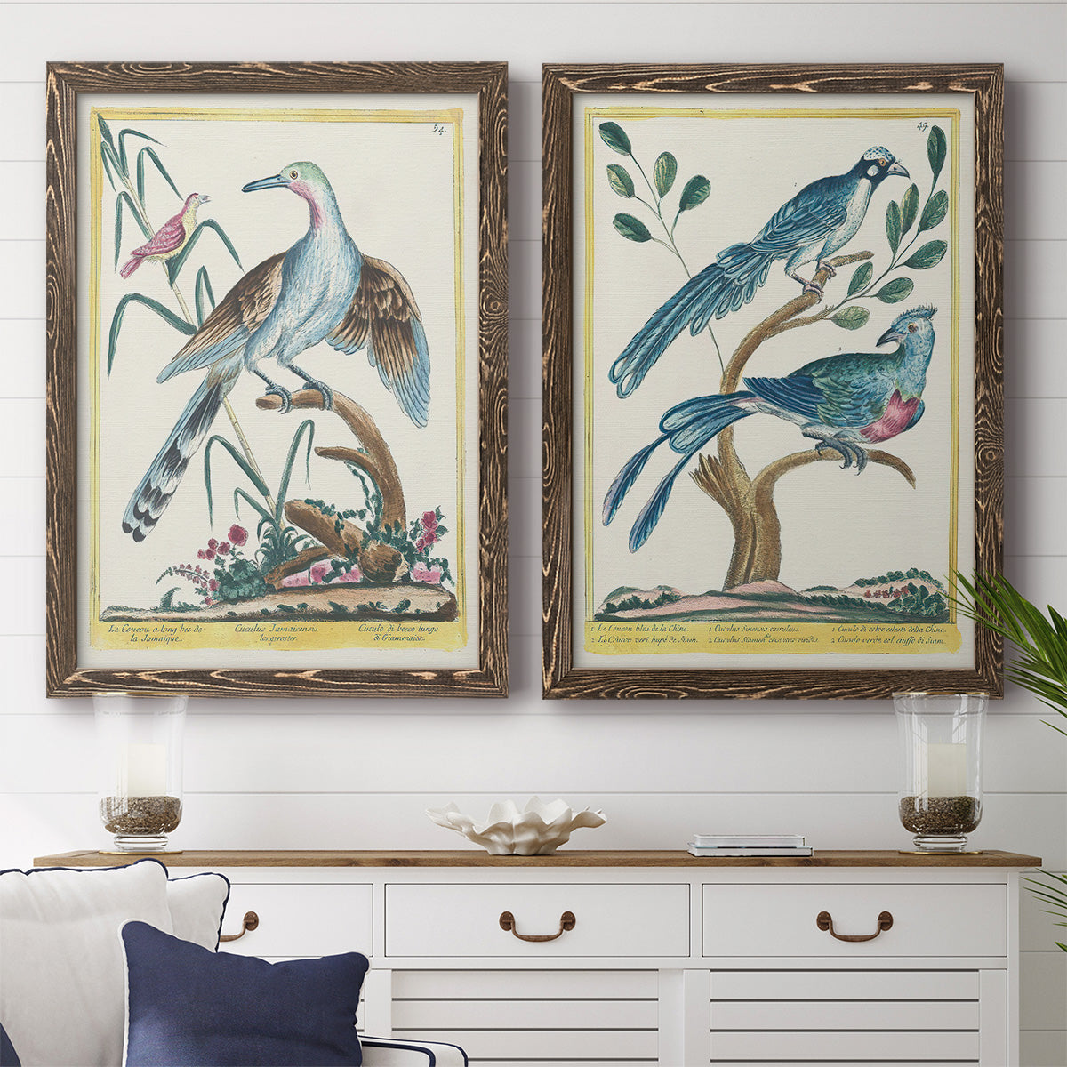 Pastel Birds V - Premium Framed Canvas 2 Piece Set - Ready to Hang