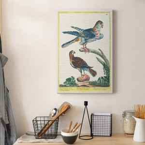 Pastel Birds III - Canvas Art Print
