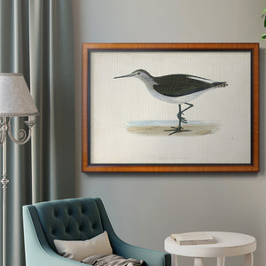 Morris Sandpipers VI Premium Framed Canvas- Ready to Hang