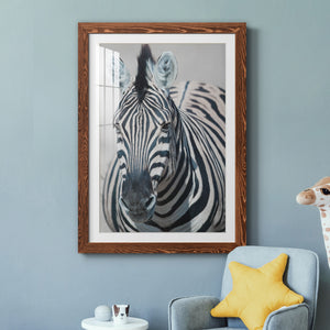 Namibia Zebra - Premium Framed Print - Distressed Barnwood Frame - Ready to Hang