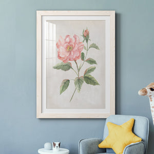Grandiflora II - Barnwood Framed Art Print