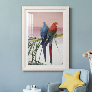 Palm Parrots - Barnwood