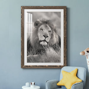 Pride of the Pride - Barnwood Framed Art Print