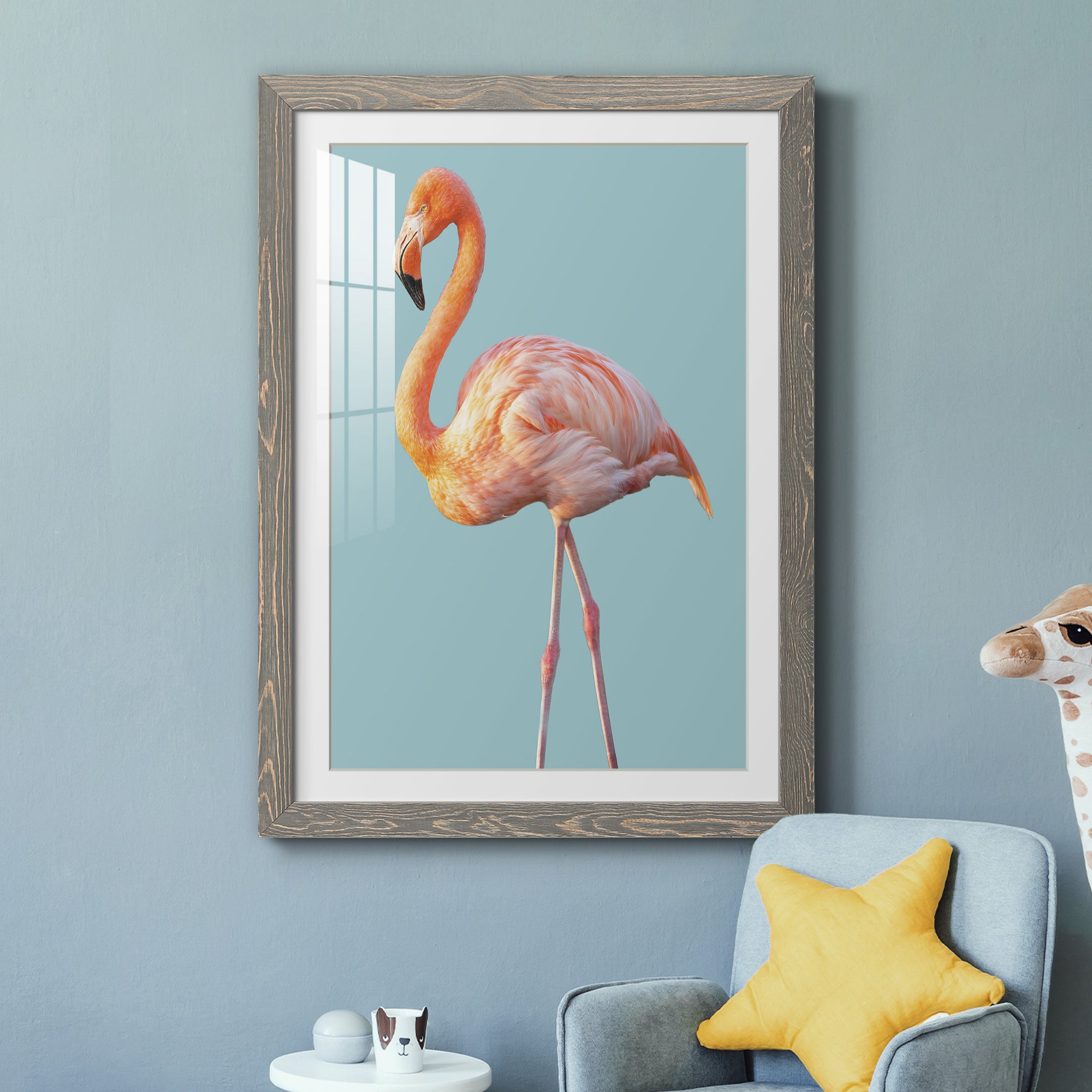 Flamingo - Barnwood
