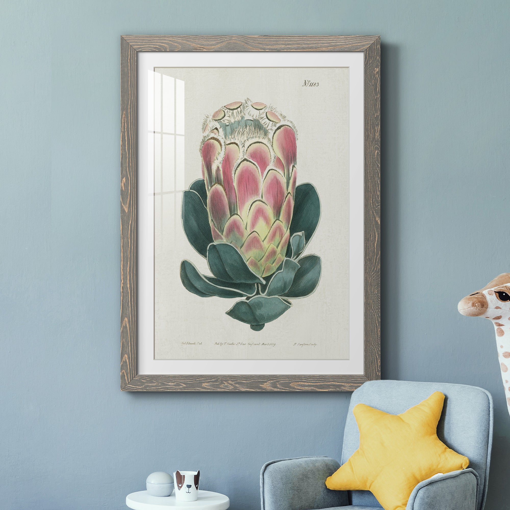 Protea N83 - Barnwood Framed Art Print