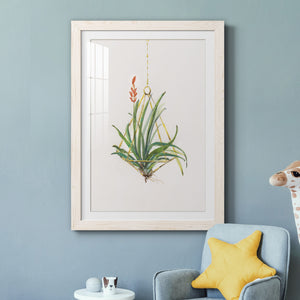 Gardenaire I - Barnwood Framed Art Print