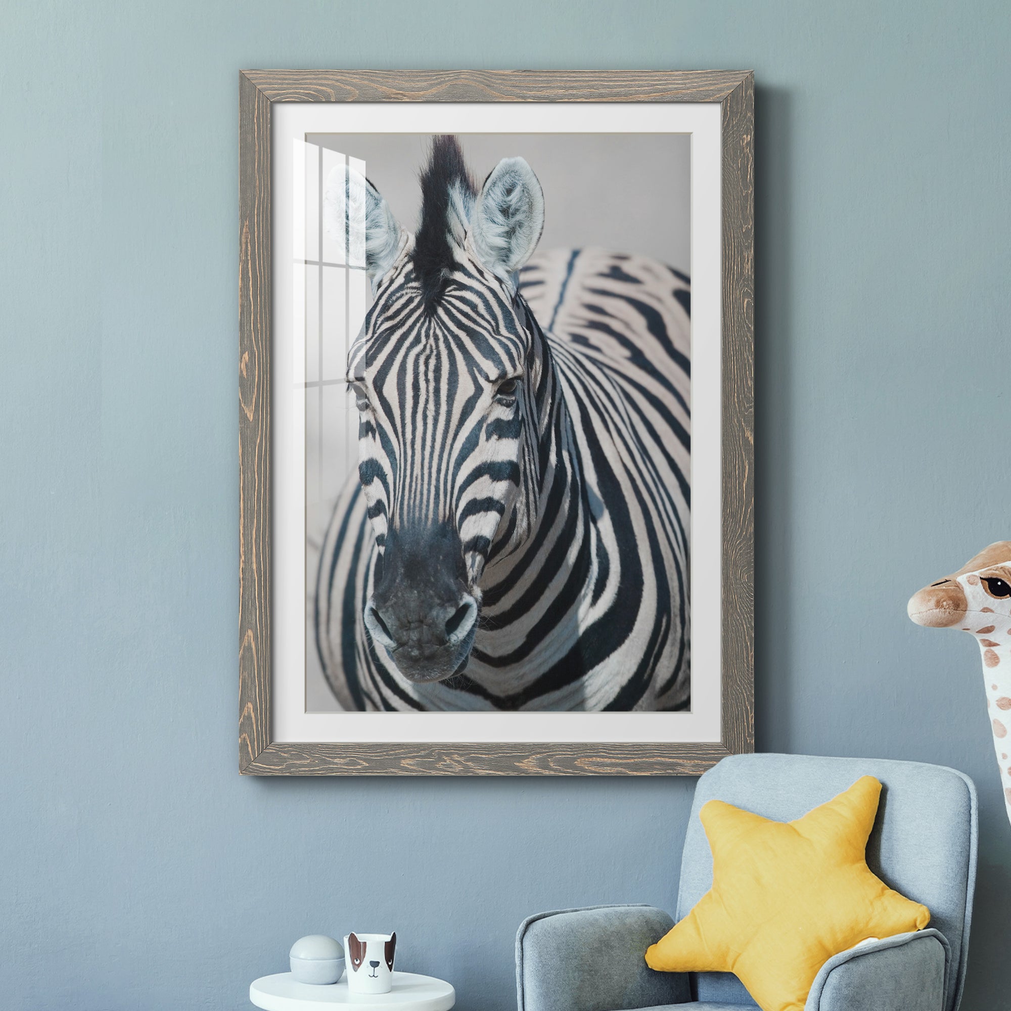 Namibia Zebra - Premium Framed Print - Distressed Barnwood Frame - Ready to Hang