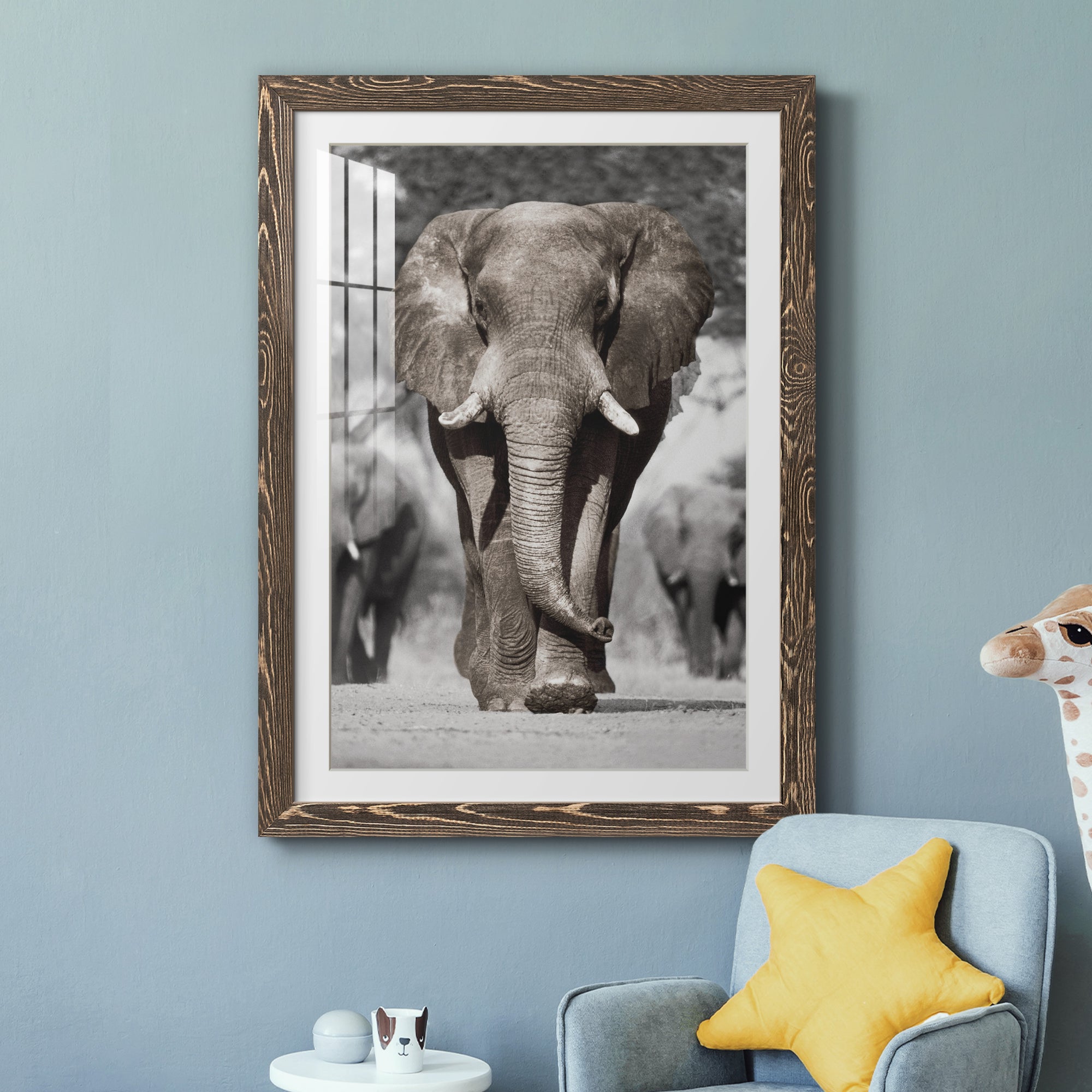 Botswana Patriarch - Barnwood Framed Art Print