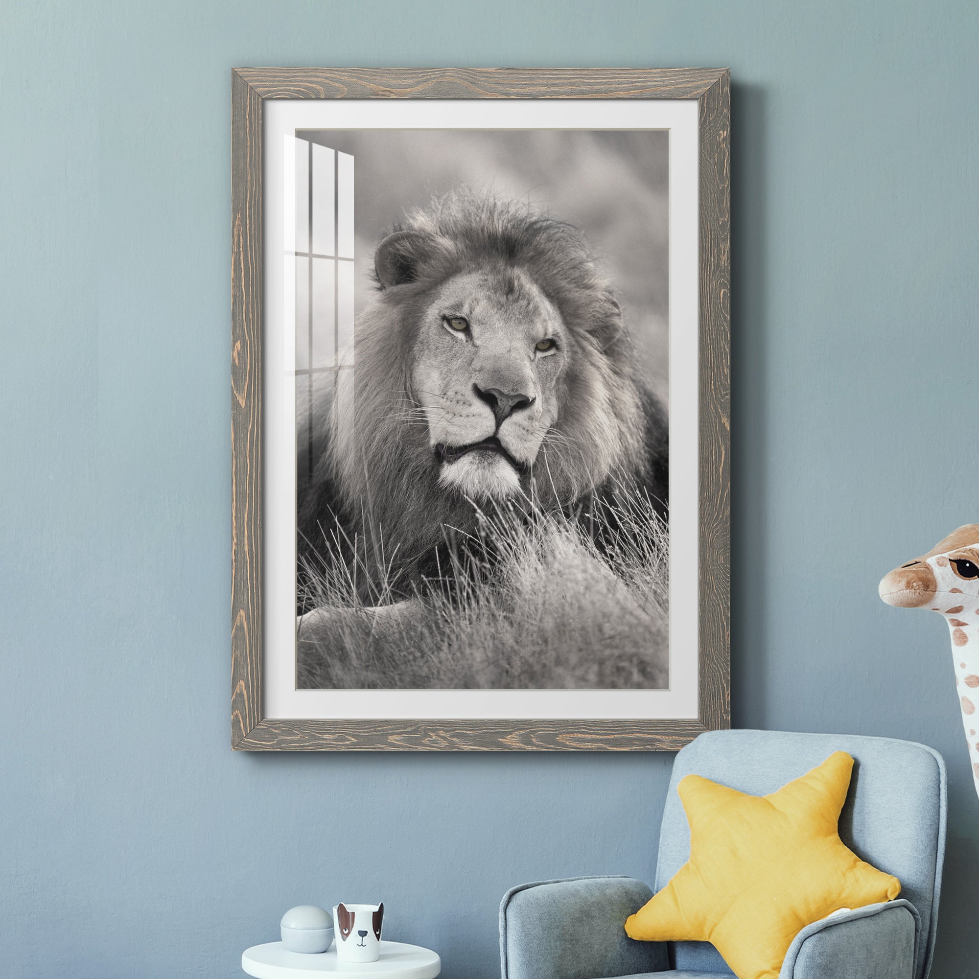Pride of the Pride - Barnwood Framed Art Print