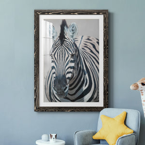 Namibia Zebra - Premium Framed Print - Distressed Barnwood Frame - Ready to Hang