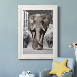 Botswana Patriarch - Barnwood Framed Art Print