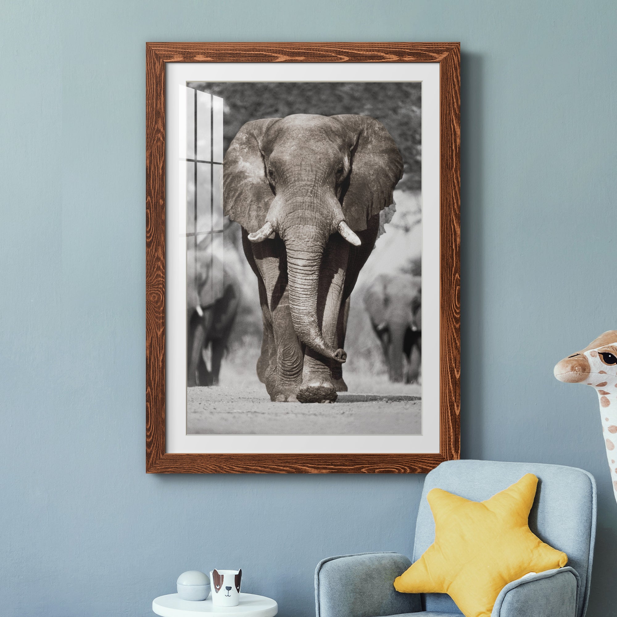 Botswana Patriarch - Barnwood Framed Art Print