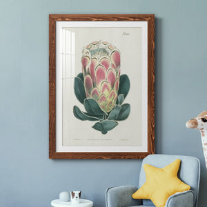 Protea N83 - Barnwood Framed Art Print