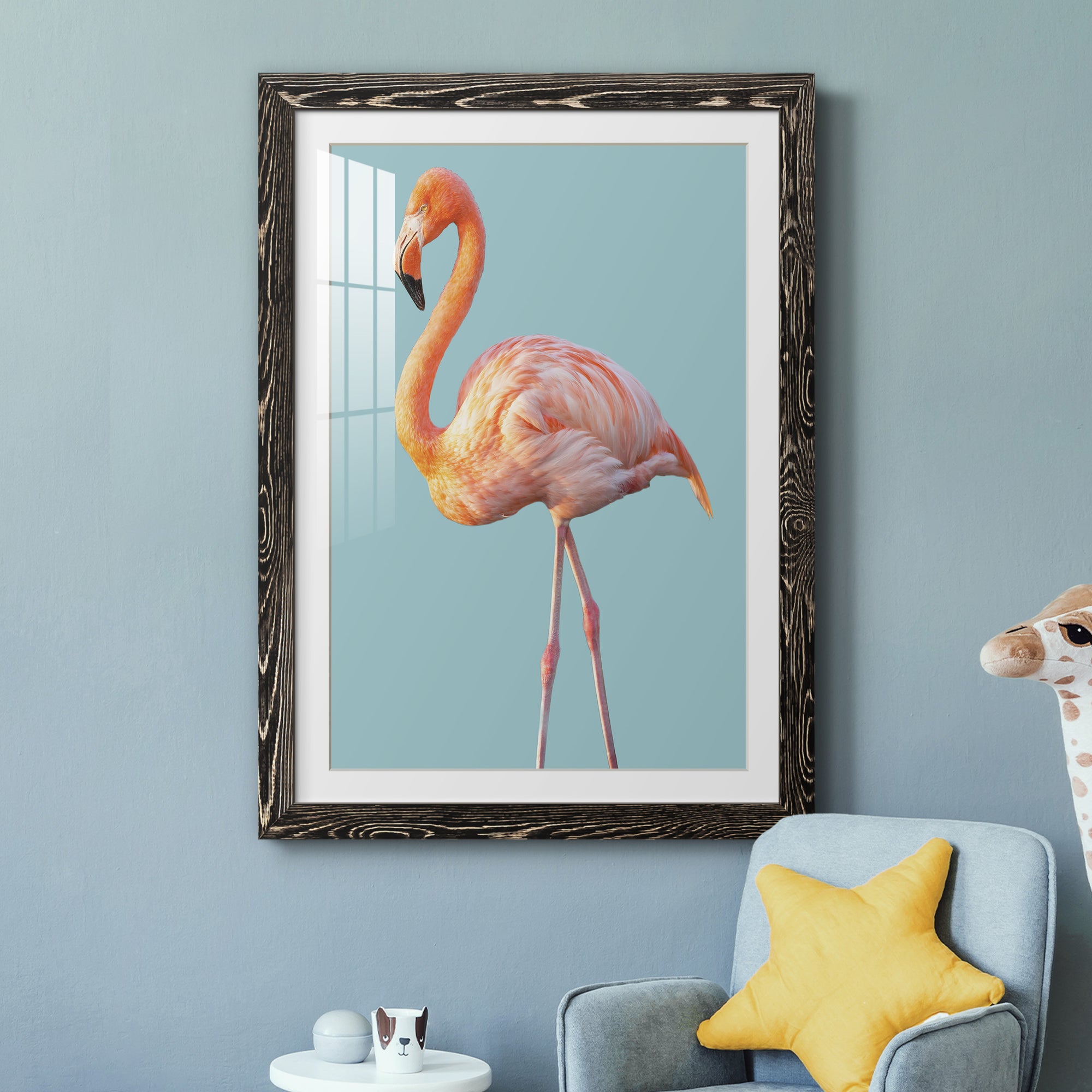 Flamingo - Barnwood