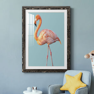 Flamingo - Barnwood