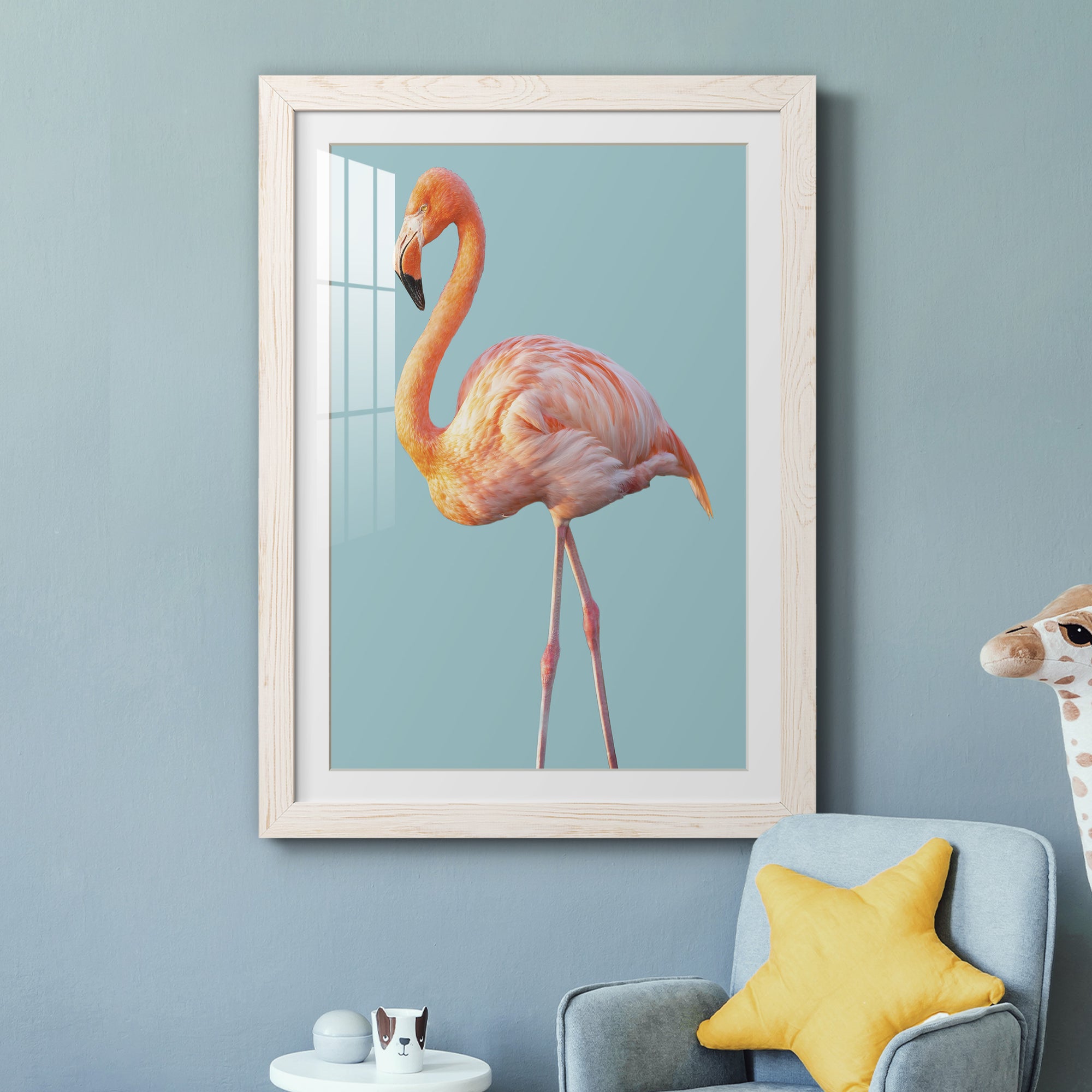 Flamingo - Barnwood