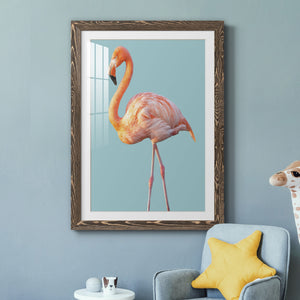 Flamingo - Barnwood