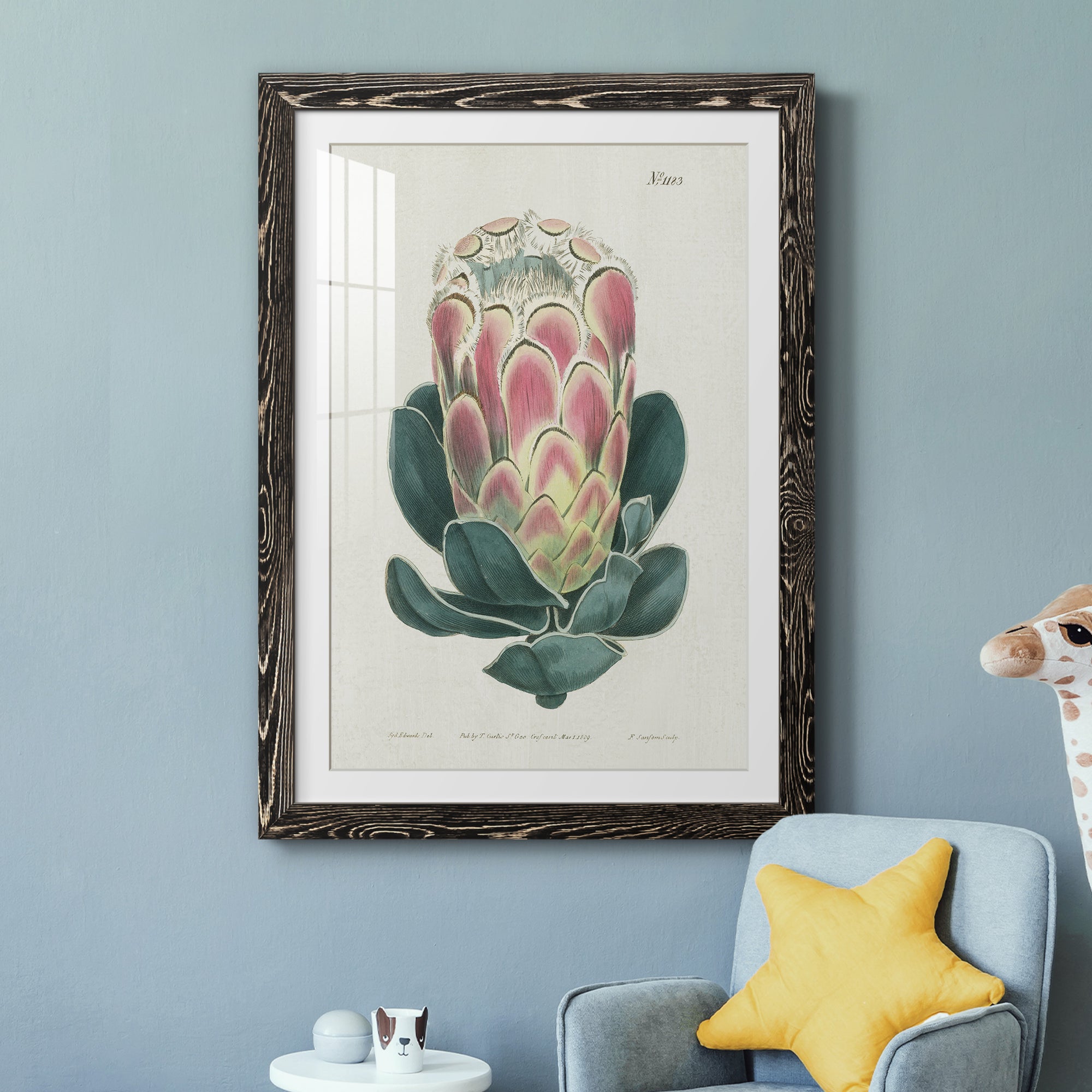 Protea N83 - Barnwood Framed Art Print
