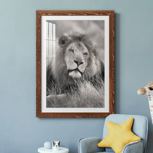 Pride of the Pride - Barnwood Framed Art Print