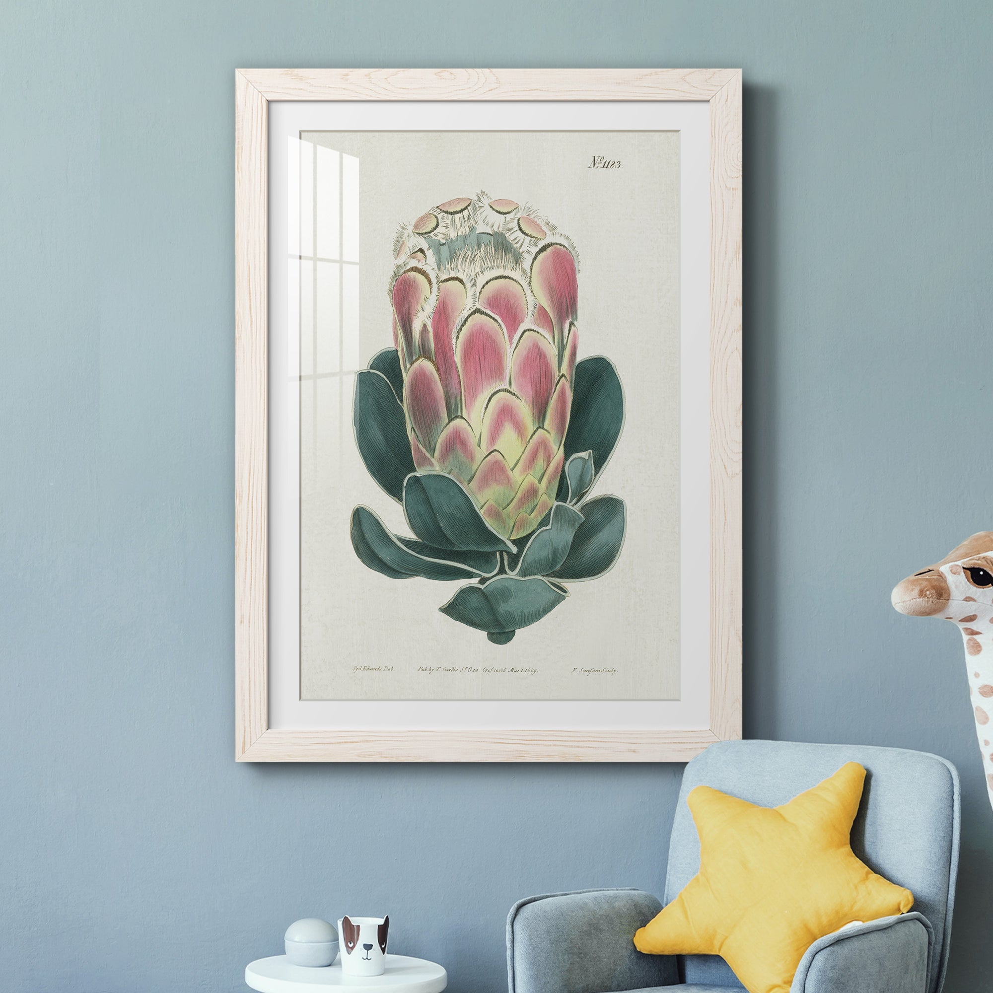 Protea N83 - Barnwood Framed Art Print