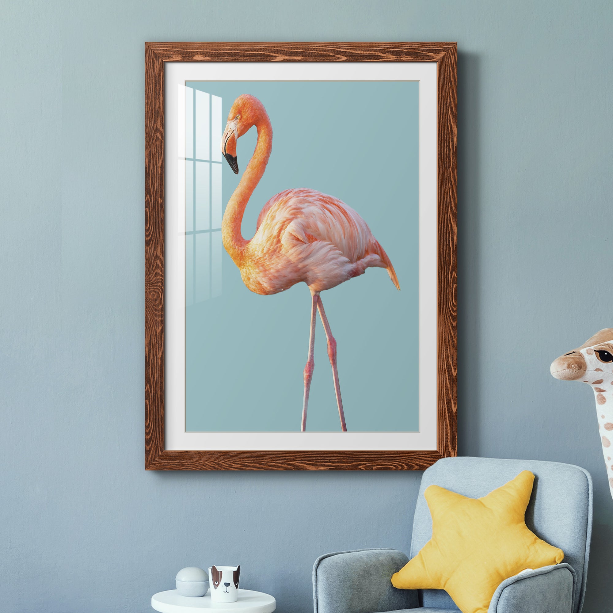 Flamingo - Barnwood