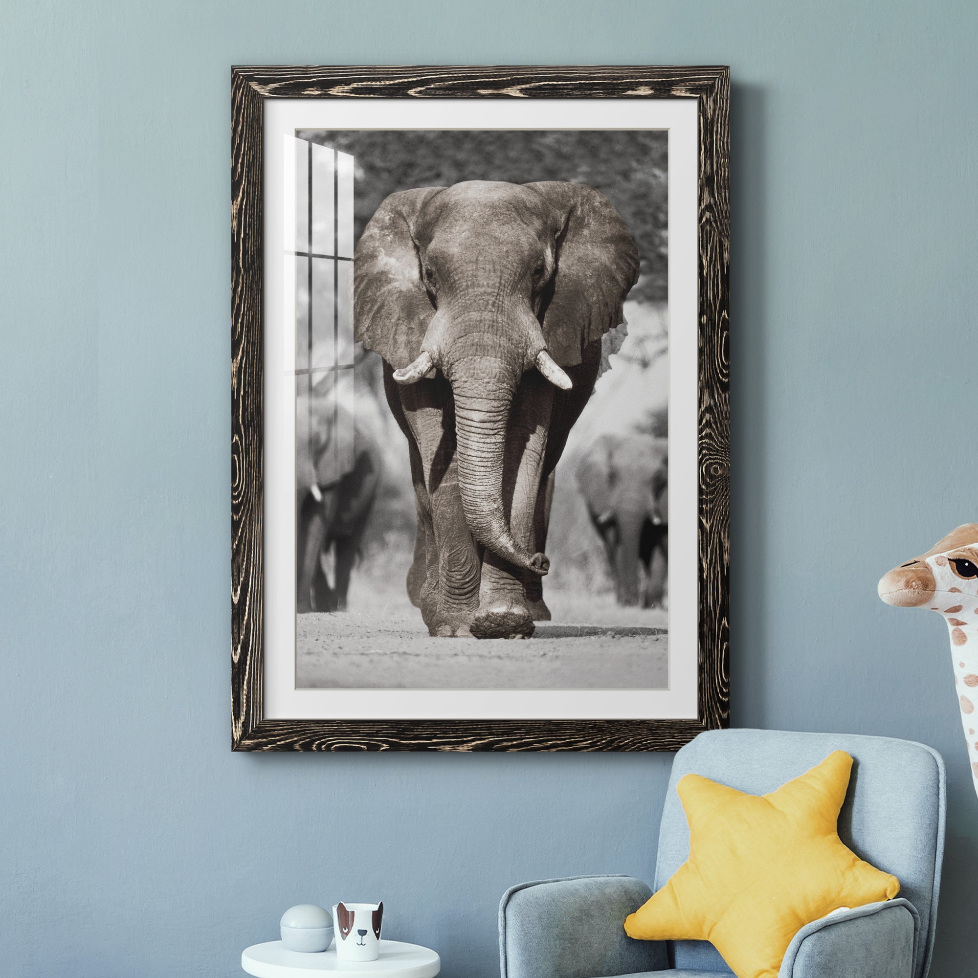 Botswana Patriarch - Barnwood Framed Art Print