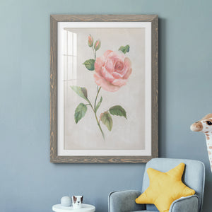 Grandiflora I - Barnwood Framed Art Print