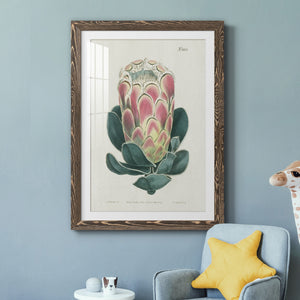Protea N83 - Barnwood Framed Art Print