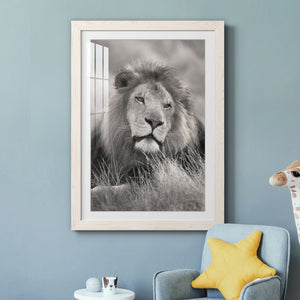 Pride of the Pride - Barnwood Framed Art Print