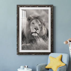 Pride of the Pride - Barnwood Framed Art Print