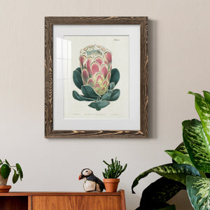 Protea N83 - Barnwood Framed Art Print