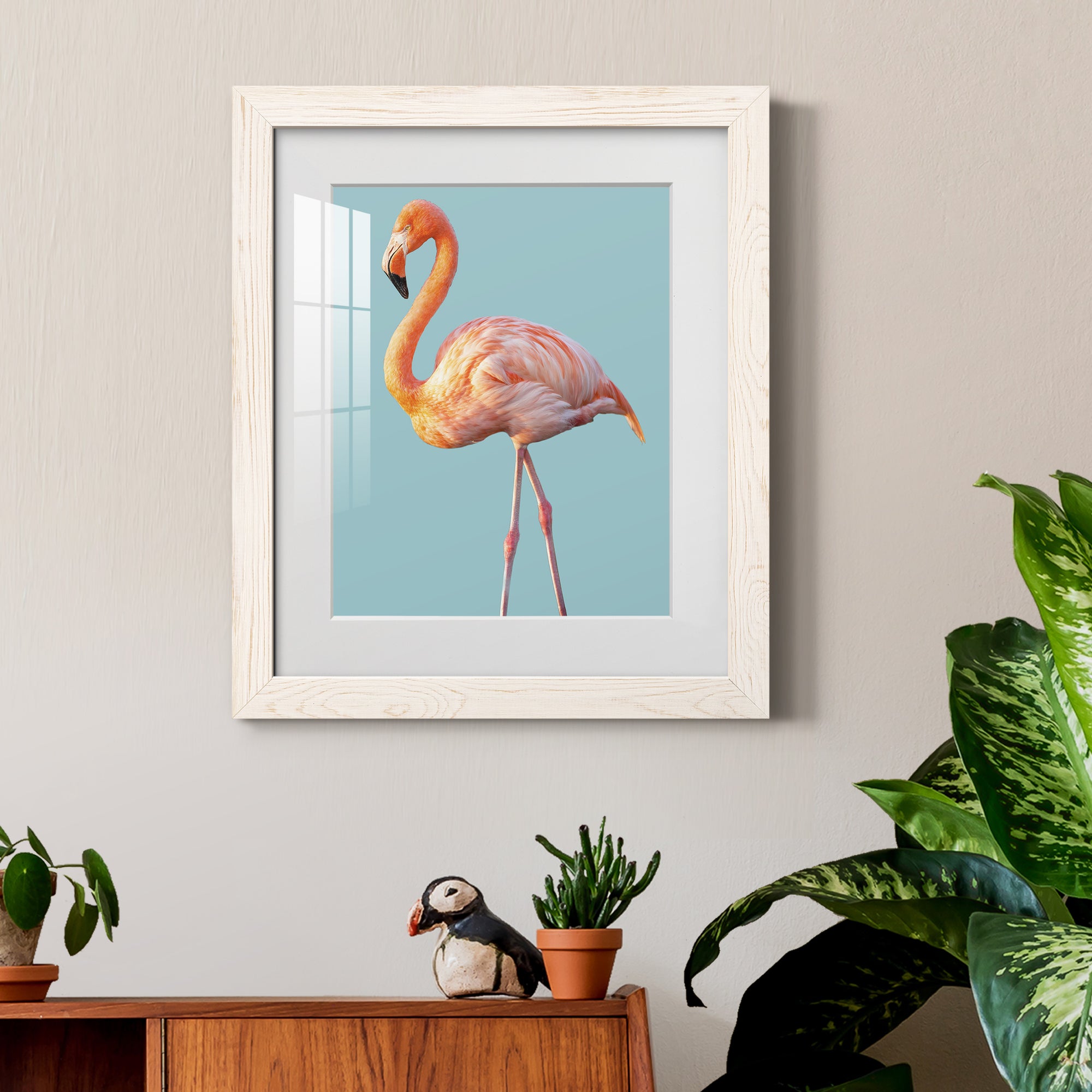 Flamingo - Barnwood